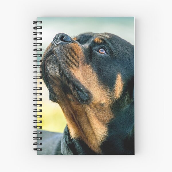 Item preview, The Rottweiler  designed and sold by Tom McPherson Photography.