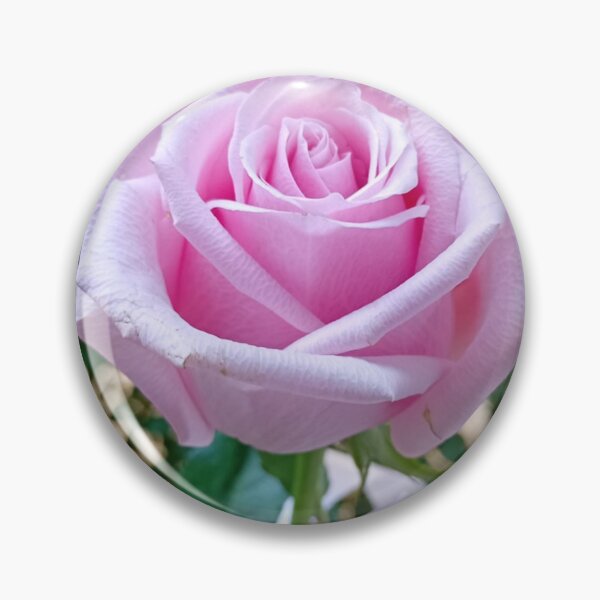 Item preview, Elegant pink rose in full bloom designed and sold by AlcamiaArt.