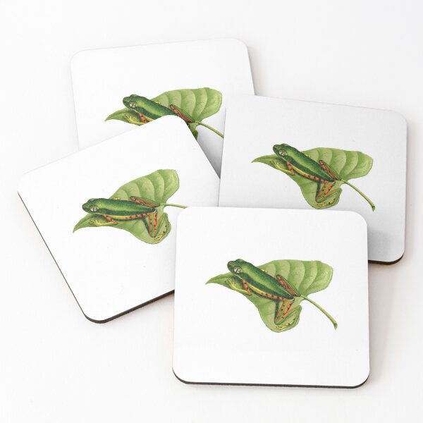 Item preview, Tiger-legged monkey frog antique illustration designed and sold by Anne Londez Studio.