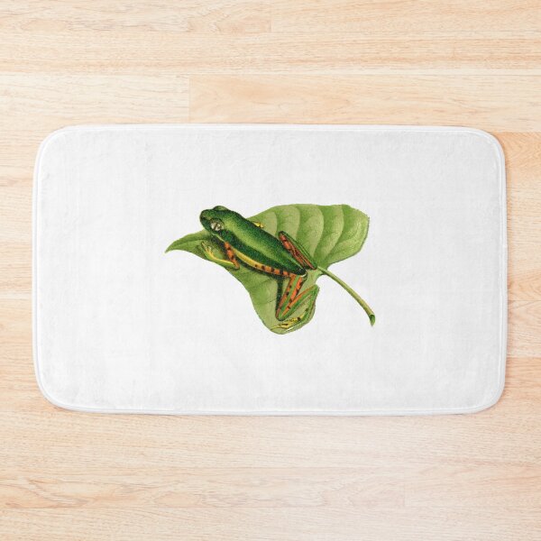 Item preview, Tiger-legged monkey frog antique illustration designed and sold by Anne Londez Studio.