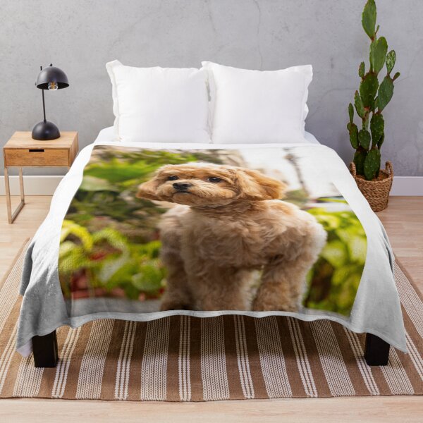 Item preview, Cute Cavoodle Puppy Fluffy Ears Portrait designed and sold by VanGaldo.