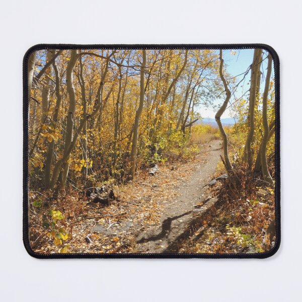 Item preview, Long Autumn Shadows designed and sold by Robert Ball.