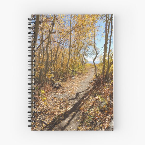 Item preview, Long Autumn Shadows designed and sold by Robert Ball.