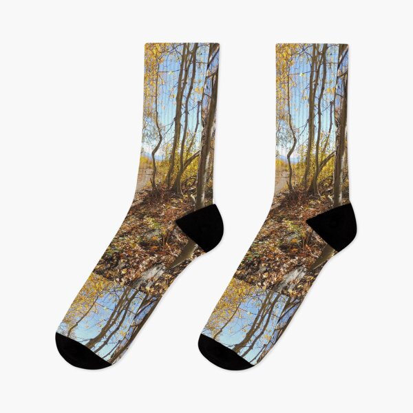 Item preview, Long Autumn Shadows designed and sold by Robert Ball.
