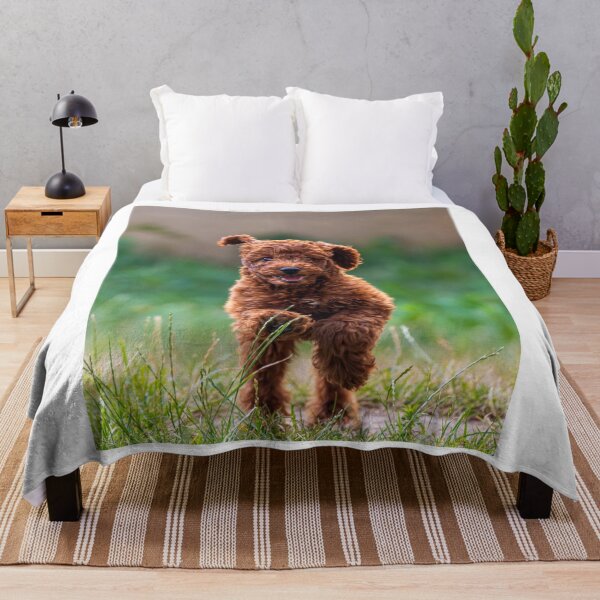 Item preview, Happy Red Toy Poodle Running Grass designed and sold by VanGaldo.