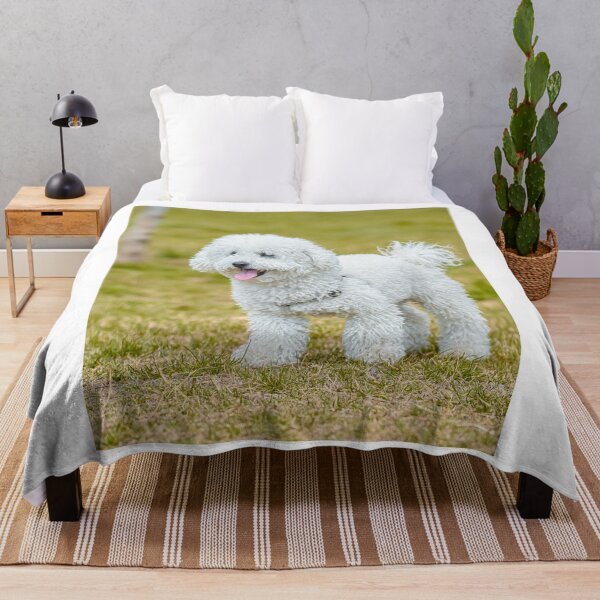 Item preview, Adorable White Poodle Mix Standing Outdoor designed and sold by VanGaldo.