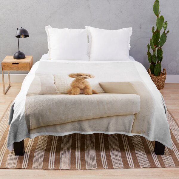 Item preview, Cute Toy Poodle Sitting On Couch designed and sold by VanGaldo.