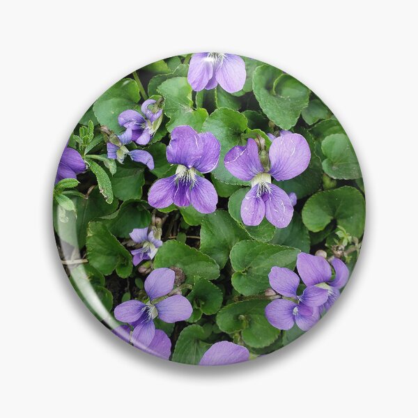 Item preview, Violetas azules comunes designed and sold by concretebotany.