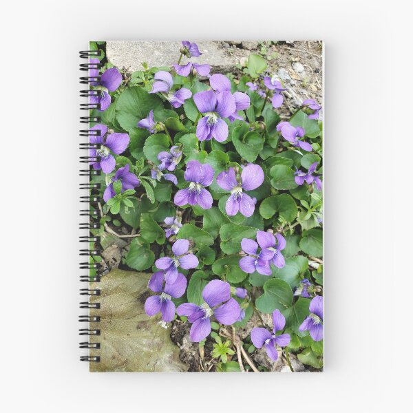 Item preview, Violetas azules comunes designed and sold by concretebotany.