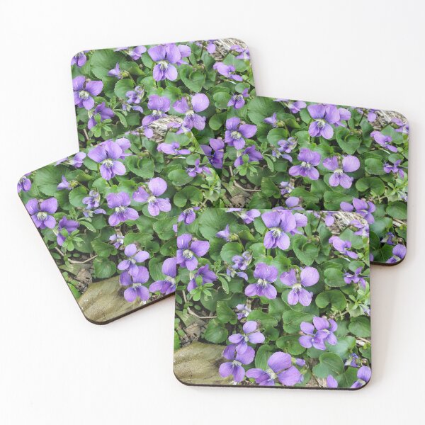 Item preview, Common Blue Violets  designed and sold by concretebotany.