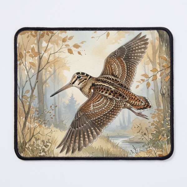 Item preview, Eurasian Woodcock in Flight, Watercolor designed and sold by TammyHunterArt.