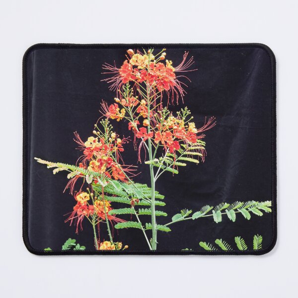 Item preview, Red and Orange Caesalpinia Blossoms designed and sold by RichFrancoCars.