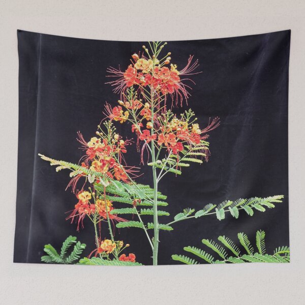 Item preview, Red and Orange Caesalpinia Blossoms designed and sold by RichFrancoCars.