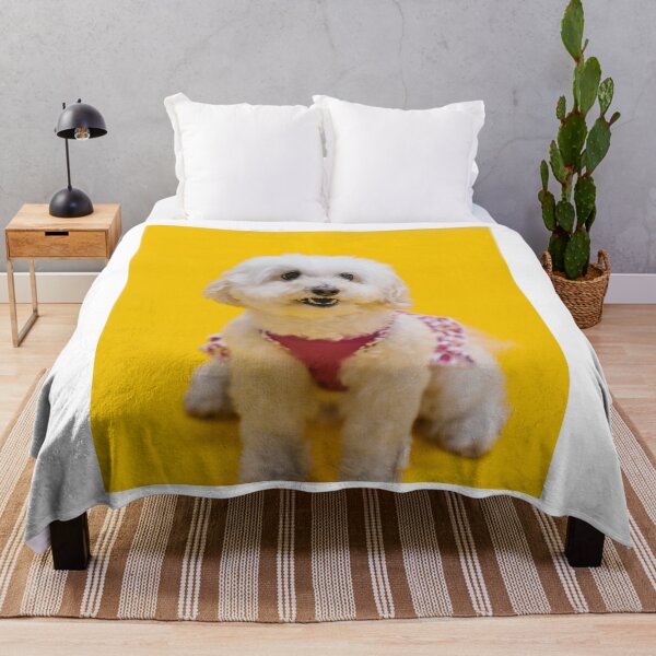 Item preview, Adorable Smiling Poodle Mix Studio Portrait designed and sold by VanGaldo.