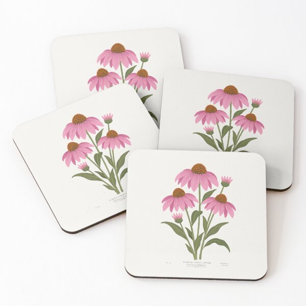 Item preview, Botanical Illustration Purple Coneflowers bouquet  designed and sold by OHBOY! Handmade.