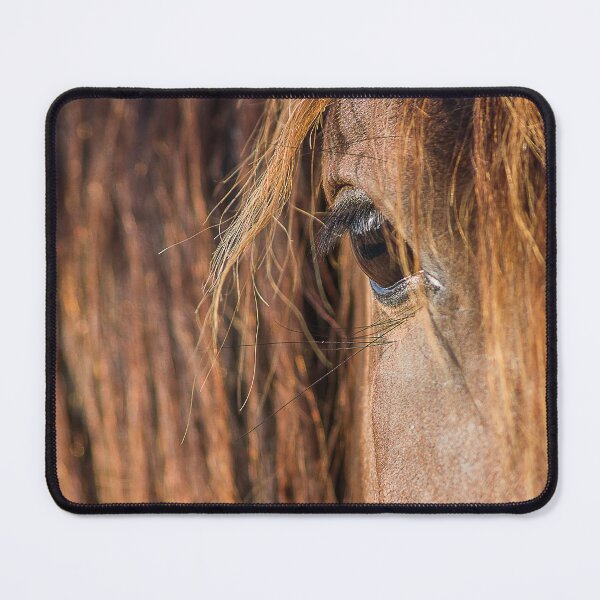 Item preview, A horse's eye in sunlight – an expressive horse portrait designed and sold by Nicole Bleck.