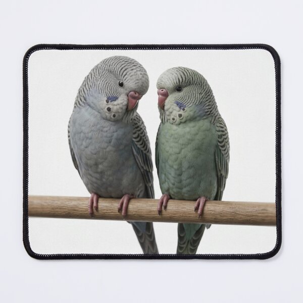 Item preview, Budgie lovers cute Parakeet bird beaus lots of love parrot illustration designed and sold by Vintage Designs +.