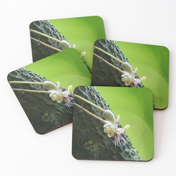 Item preview, Cocoa Flower designed and sold by SACRED NATURE DESIGNS.