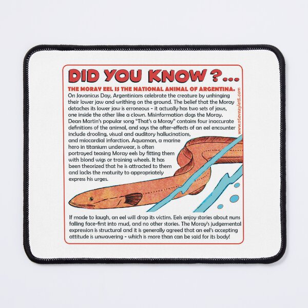 Item preview, DID YOU KNOW ABOUT EELS? designed and sold by AylettClobber.