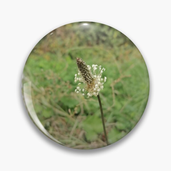 Item preview, Wild Forest Nature designed and sold by PhuongVoArt.