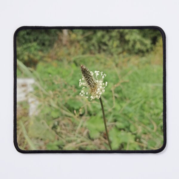 Item preview, Wild Forest Nature designed and sold by PhuongVoArt.