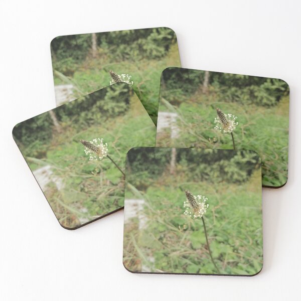 Item preview, Wild Forest Nature designed and sold by PhuongVoArt.