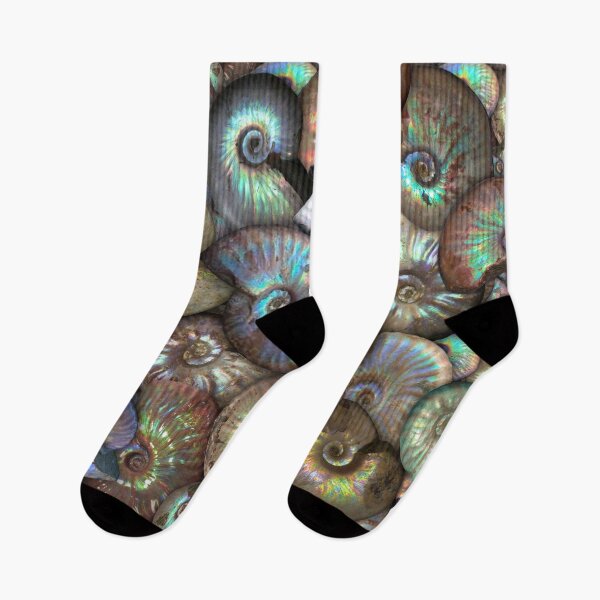 Item preview, 66 millones de años en desarrollo designed and sold by dinaaaaaah.