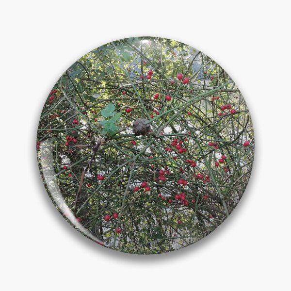 Item preview, Red Rose Hips in Nature designed and sold by PhuongVoArt.