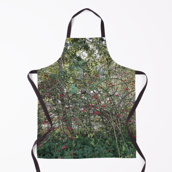 Item preview, Red Rose Hips in Nature designed and sold by PhuongVoArt.