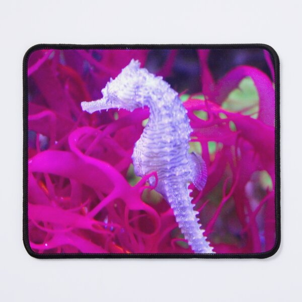 Item preview, Seahorse Photo designed and sold by Creek Nymph Photography.
