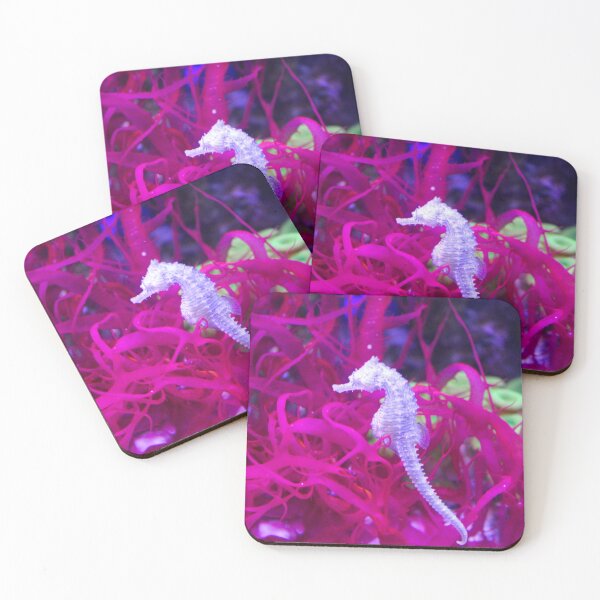 Item preview, Seahorse Photo designed and sold by Creek Nymph Photography.