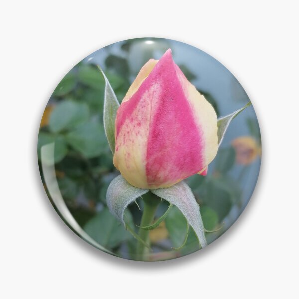 Item preview, Pink Rosebud Close Up designed and sold by PhuongVoArt.