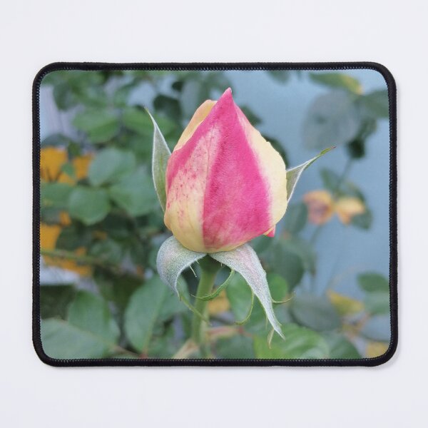 Item preview, Pink Rosebud Close Up designed and sold by PhuongVoArt.