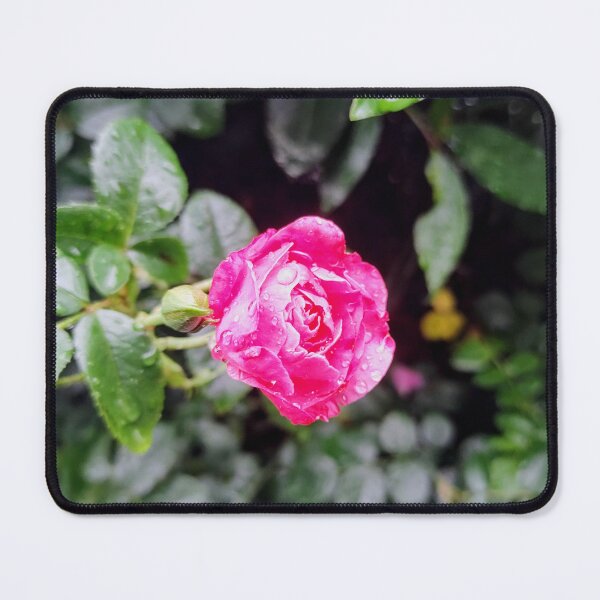 Item preview, Raindrop Rose designed and sold by Bee Buddy Photography.