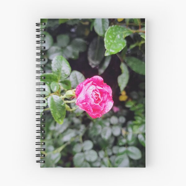 Item preview, Raindrop Rose designed and sold by Bee Buddy Photography.