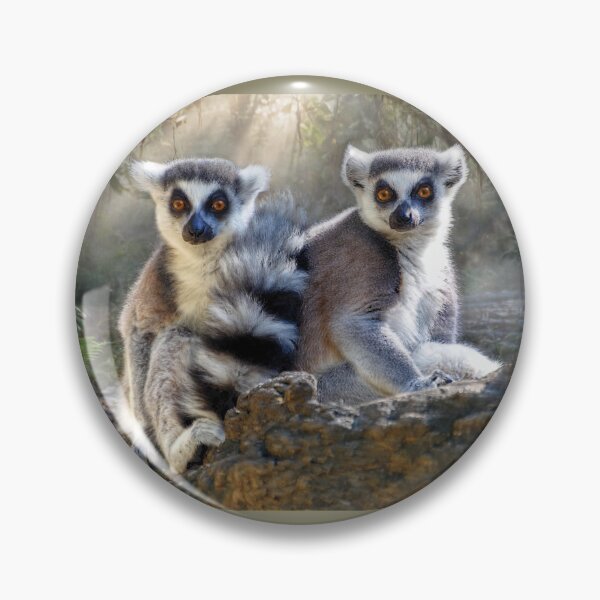 Item preview, Ring-Tailed Lemurs in Sunlit Forest designed and sold by Savannah Gibbs.