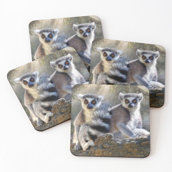 Item preview, Ring-Tailed Lemurs in Sunlit Forest designed and sold by Savannah Gibbs.