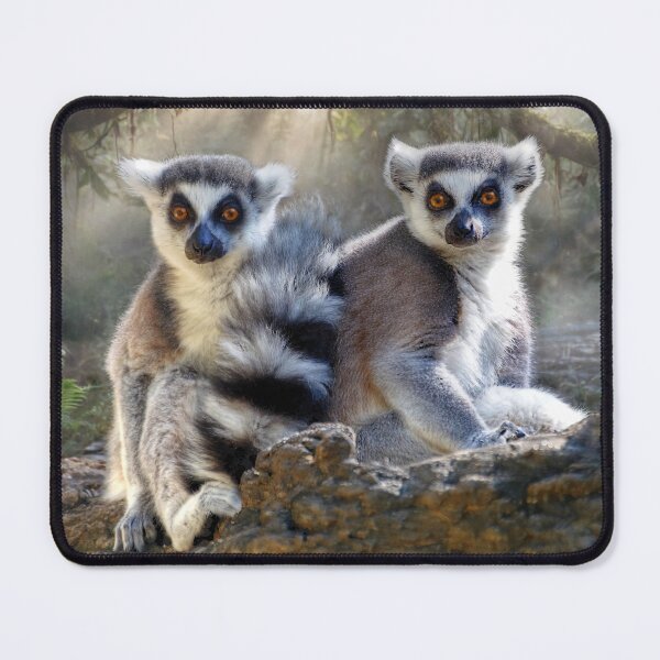 Item preview, Ring-Tailed Lemurs in Sunlit Forest designed and sold by Savannah Gibbs.
