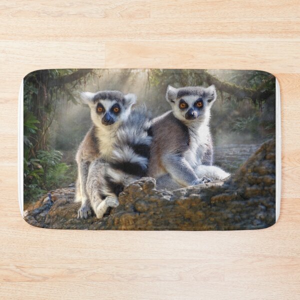 Item preview, Ring-Tailed Lemurs in Sunlit Forest designed and sold by Savannah Gibbs.