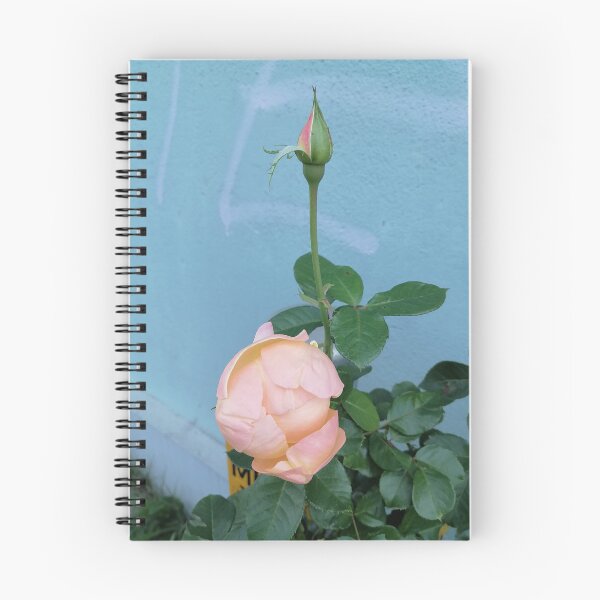 Artikelvorschau, Peach Pink Rose Blossom entworfen und verkauft von PhuongVoArt.