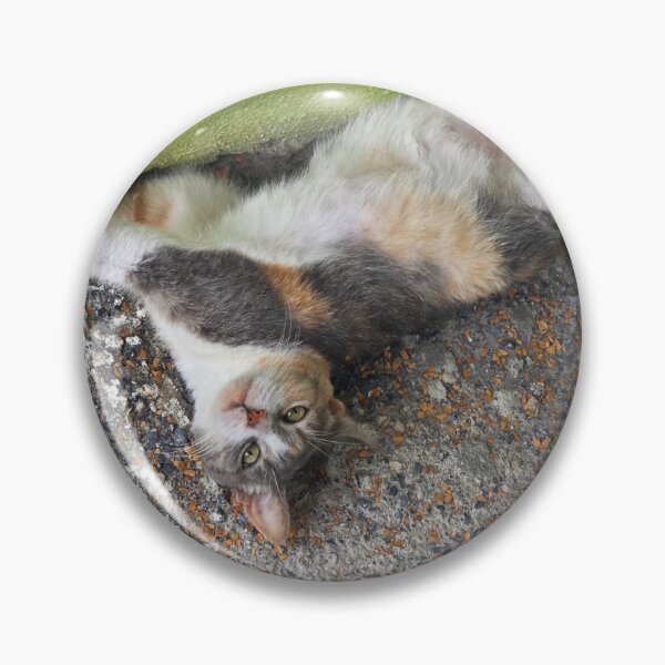 Item preview, Sleeping Calico Cat Belly Up designed and sold by AuraNatura.
