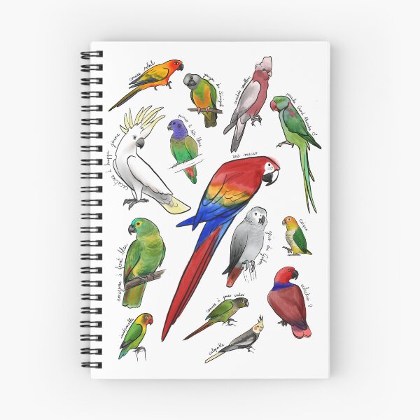 Item preview, Illustrated Parrot Collection - Colorful Tropical Birds designed and sold by alkylie.