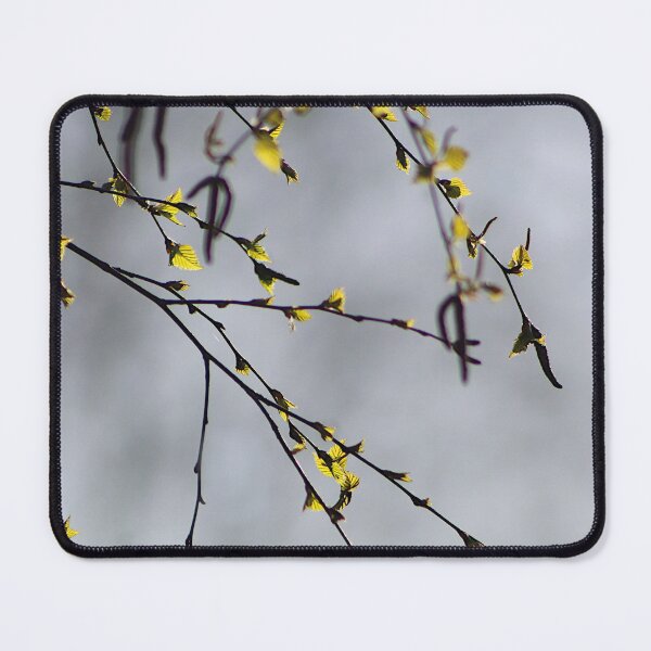 Item preview, Spring Birch Tree Branches Green Leaves Poster Art Print designed and sold by NestTshirt.