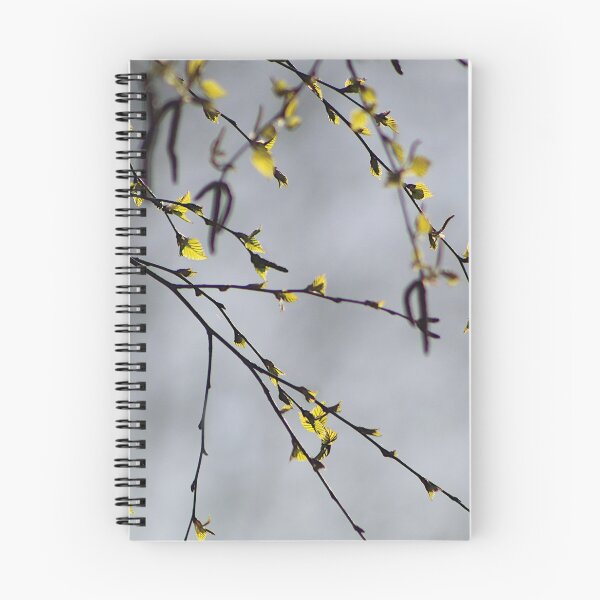 Item preview, Spring Birch Tree Branches Green Leaves Poster Art Print designed and sold by NestTshirt.