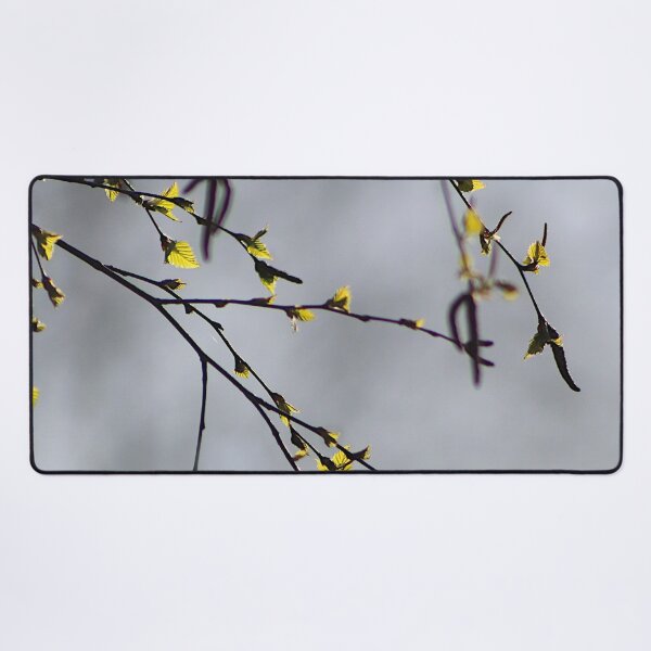 Item preview, Spring Birch Tree Branches Green Leaves Poster Art Print designed and sold by NestTshirt.