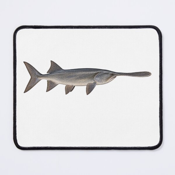 Item preview, Paddlefish designed and sold by TJT-GRAPHIX.