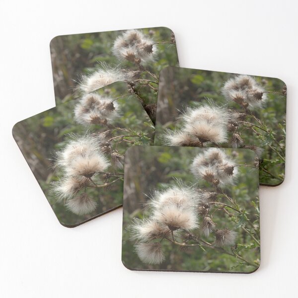 Item preview, Canadian thistledown close up with a square crop designed and sold by lisavonbiela.