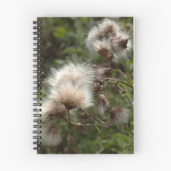 Item preview, Canadian thistledown close up with a square crop designed and sold by lisavonbiela.