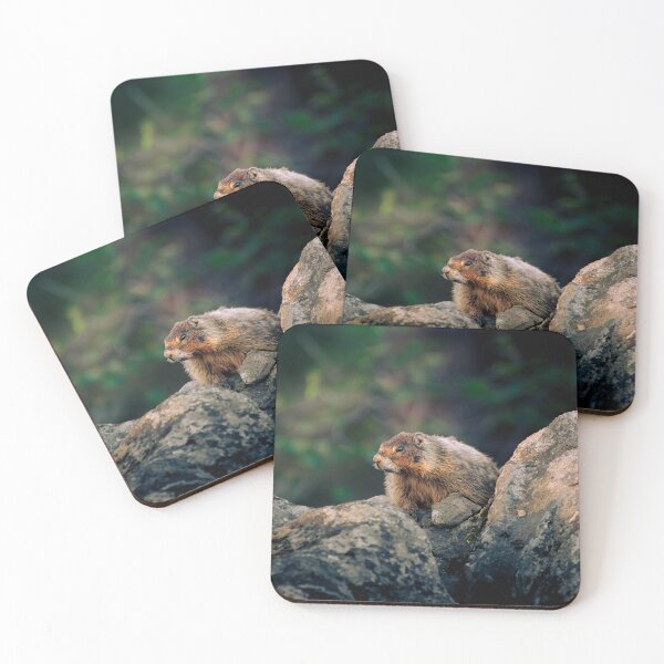 Item preview, Yellow-Bellied Marmot Among Mountain Rocks designed and sold by Moss Fauna.