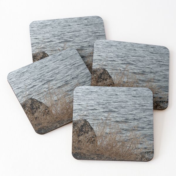 Item preview, Rock and dried grasses beside Banks Lake near sunset designed and sold by lisavonbiela.